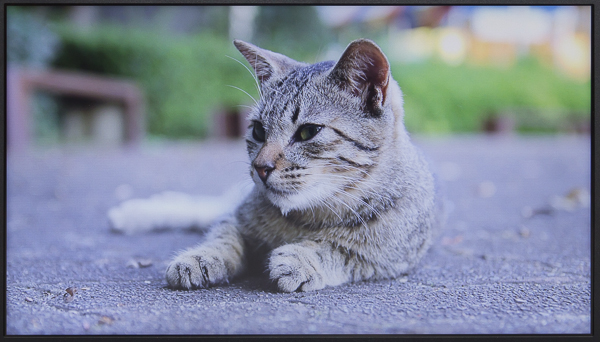 液晶ディスプレイの色合いは標準レベルです。写真では青みがかっていますが、実際の映像はもっと自然な色合いでした