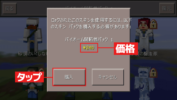 選んだスキンパックは240円とのこと。買うなら「購入」をタップ、やめるなら「キャンセル」をタップします