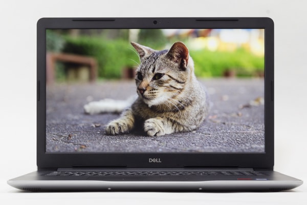 Inspiron 17 3000 (3780) 映像品質