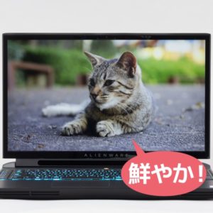 Alienware Area-51m 映像品質