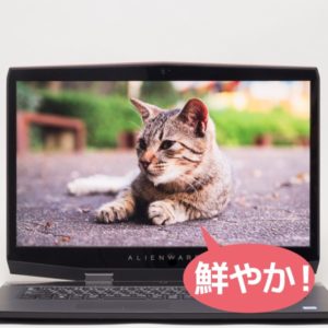 ALIENWARE M17 映像品質