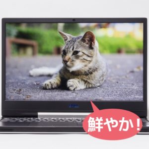 Dell G5 15 5590 映像品質