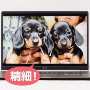 LG gram 17 (17Z990) 解像度