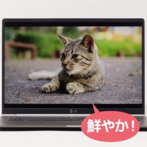 LG gram 17 (17Z990) 映像品質