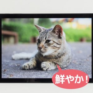 Surface Pro 6 映像品質