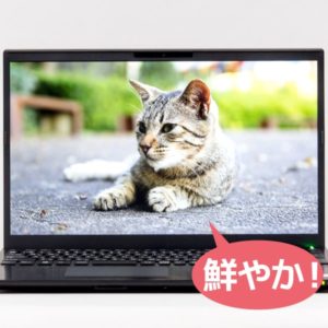 VAIO S15 映像品質