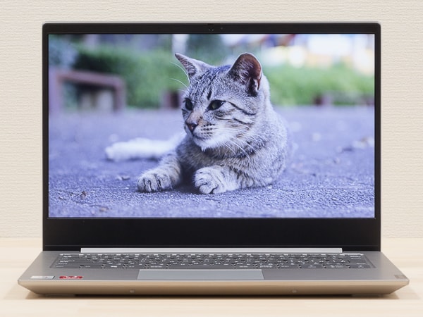 IdeaPad S340 (14, AMD) 映像品質