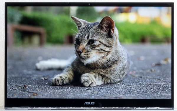 ASUS Chromebook Flip C436FA 映像品質