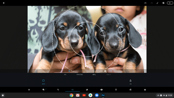 HP Chromebook x360 14c Photoshop