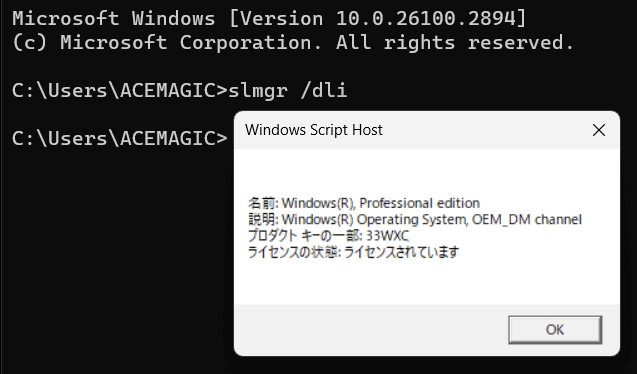 ACEMAGIC W1