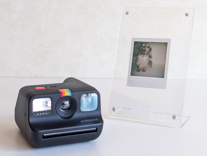 ビックカメラ2026年【福箱】 インスタントカメラ&フィルムセットネタバレ